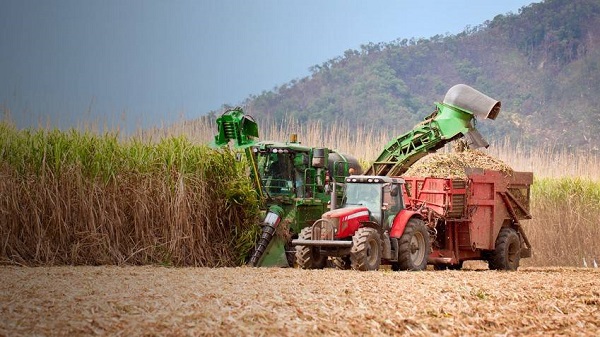 Văn bằng Nông nghiệp (Agriculture) tại Tafe Queensland