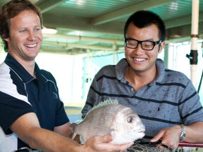 Chứng chỉ III về Nuôi trồng thủy sản (Aquaculture) tại Tafe Western Australia