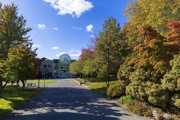 Du học Canada - Camosun College – Trường cao đẳng công lập uy tín ở Victoria