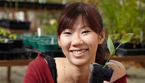 Diploma of Horticulture tại TAFE Western Australia - con đường vào Bachelor of Agribusiness