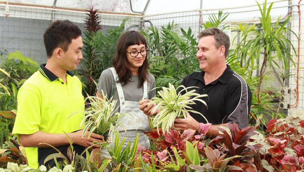 Văn bằng Làm vườn (Horticulture) tại Tafe Queensland