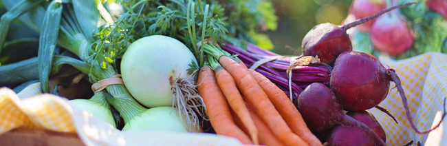 Diploma Nông nghiệp hữu cơ (Organic Farming) Tại TAFE NSW