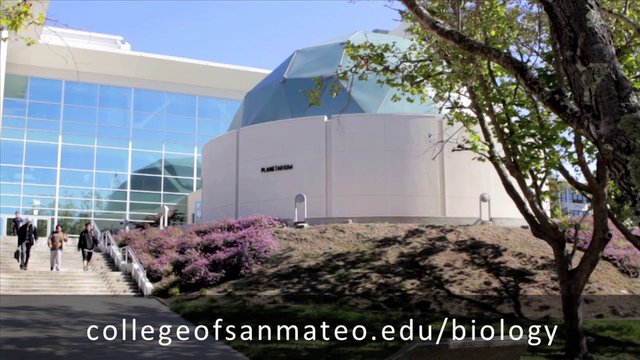 Lĩnh vực sinh học và chăm sóc sức khỏe tại San Mateo College – Du học Mỹ, California