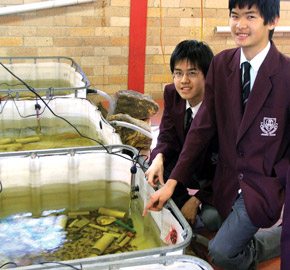 Du học Úc - Trường James Cook Boys Technology High School –Trung học Công lập NSW