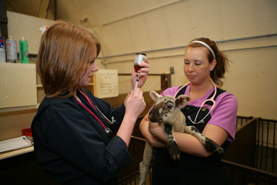 Du học Canada - Animal Health Technology - Douglas College