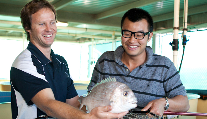 Du học Úc - Diploma Nuôi trồng thủy sản (AQUACULTURE) – học ở Tây Úc