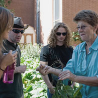 Du học Mỹ - Cử nhân Sinh học (Biology) – Northern Arizona University