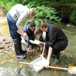 Bachelor of Environmental Sciences – Oregon State University, du học Mỹ