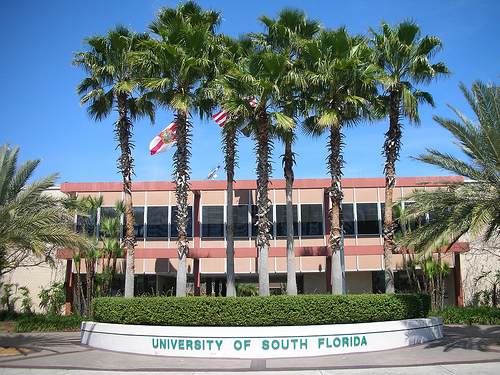 Du học Mỹ - Những điều nổi bật của trường University of South Florida