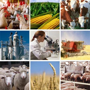 Du học Canada - Kinh doanh nông nghiệp – University of Manitoba