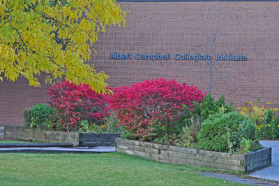 Du học Canada - Trung học Albert Campbell Collegiate Institute