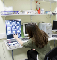 Ngành Nhận thức Khoa học thần kinh và sức khỏe tâm lý (Cognitive Neuroscience and Health psychology) tại Đại học Murdoch – Du học Úc 