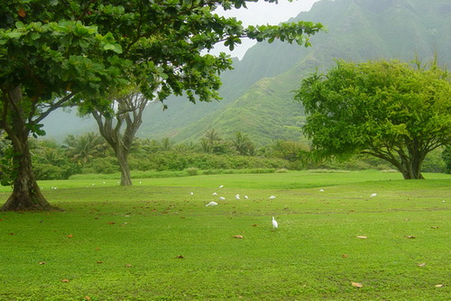 CỬ NHÂN NGHỆ THUẬT (MÔI TRƯỜNG) – ĐẠI HỌC GRIFFITH – DU HỌC ÚC