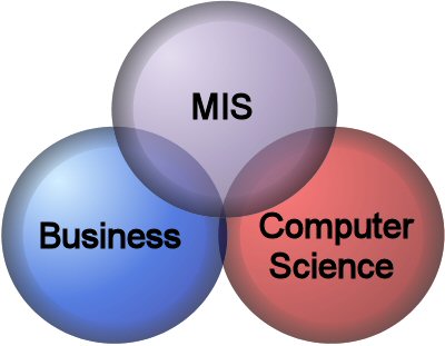 Du học Mỹ - Management Information System - California State University, San Marcos