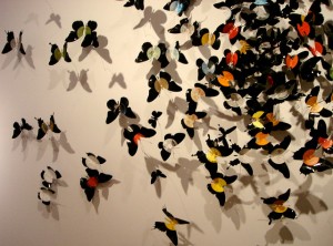 Du học Anh - Foundation Diploma in Arts and Design - Cambridge School of Visual & Performing Arts 