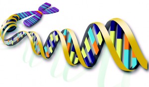 Du học Anh - Cử nhân Hóa sinh (BSc Biochemistry) - Đại học Essex