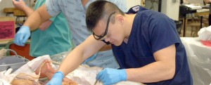 Giải phẫu học, Sinh học Phát triển và Sinh học Con người - Kings College London – Du học Anh