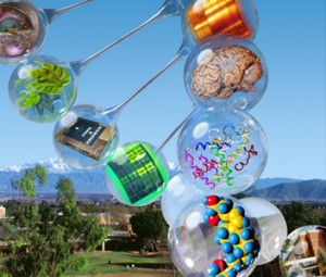 BSc - Biochemistry - Kings College London – Du học Anh